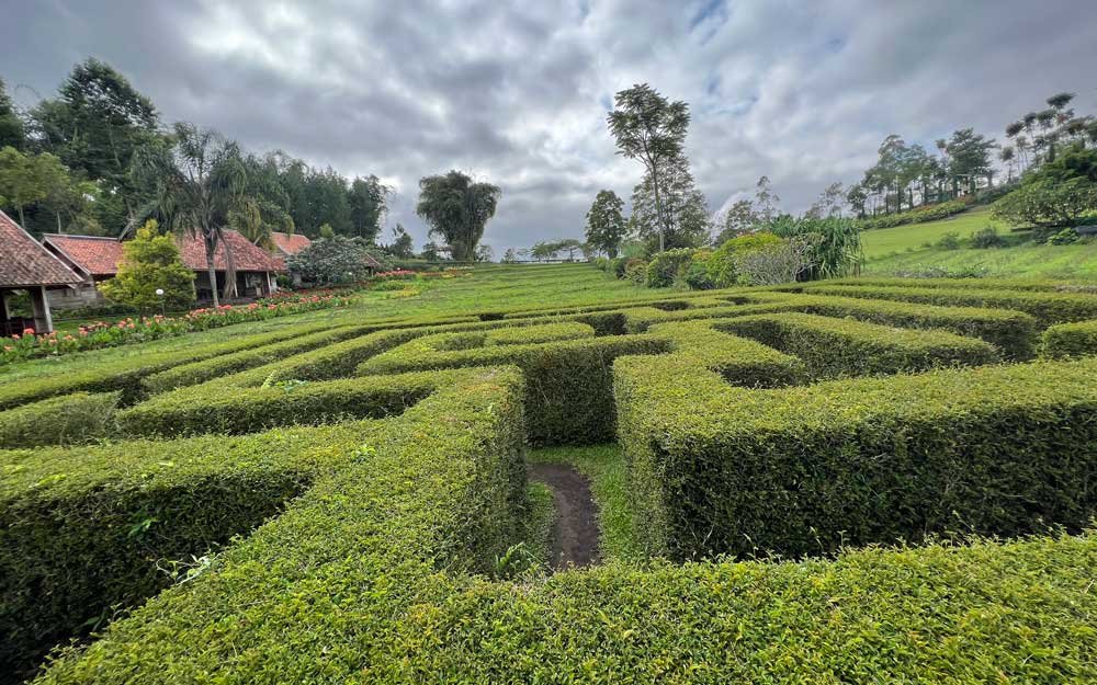  kebun mawar situhapa foto4